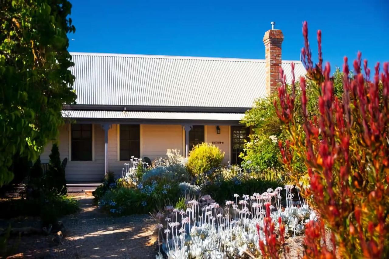 Circa Ivy Holiday home